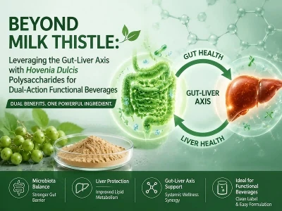 Lil hinn mill-Ħalib Thistle: Ingranaġġ tal-Assi tal-Imsaren-Fwied b'Hovenia Dulcis Polysaccharide...